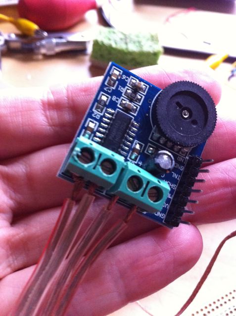 miniamp